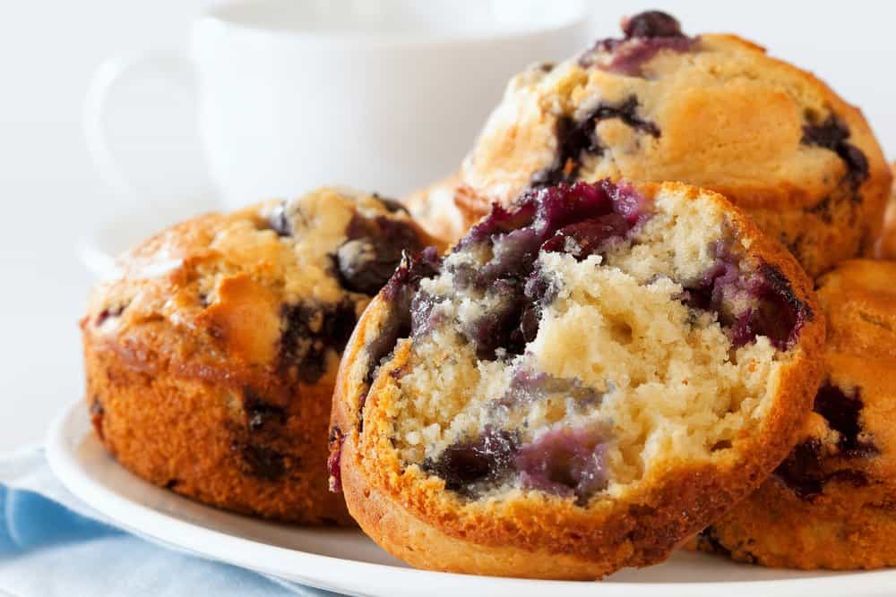 Blueberry muffins on a white plate.
