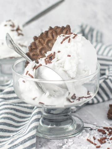 A bowl of coconut sorbet with a spoon.