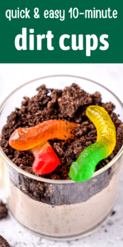 Gummy worms coming out of a dirt cup dessert.