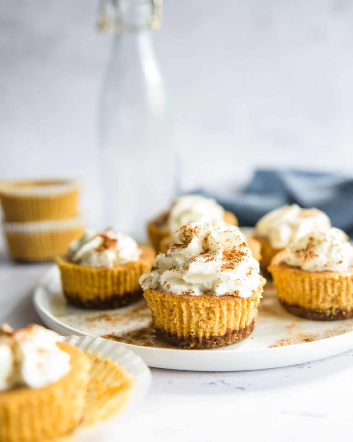 Cinnamon sprinkled on top of whipped cream on top of mini cheesecakes.