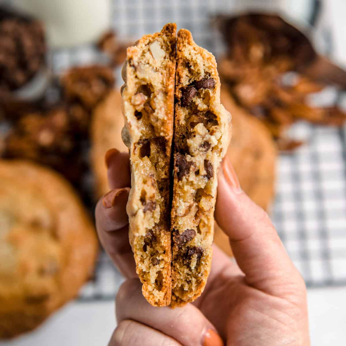The inside of soft chocolate chip cookies with pecans.