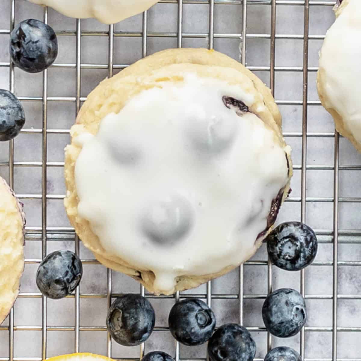 A lemon cookie with blueberries up close.