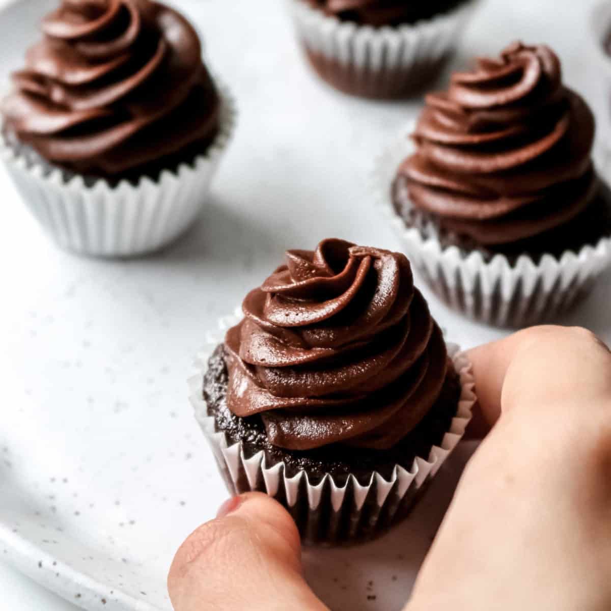 A close up of a hand holding a small chocolate cupcake.