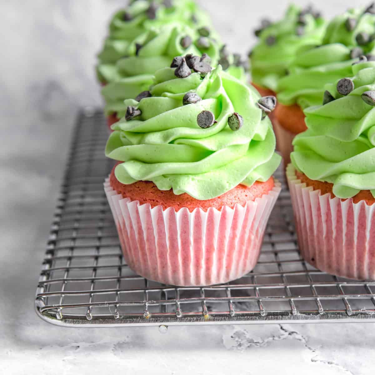 Cupcake with green frosting topped with mini chocolate chips.