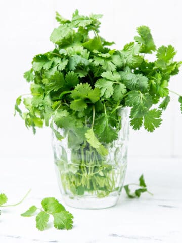 Cilantro stems in a clear glass jar with water.