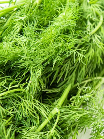 Close up image of dill.