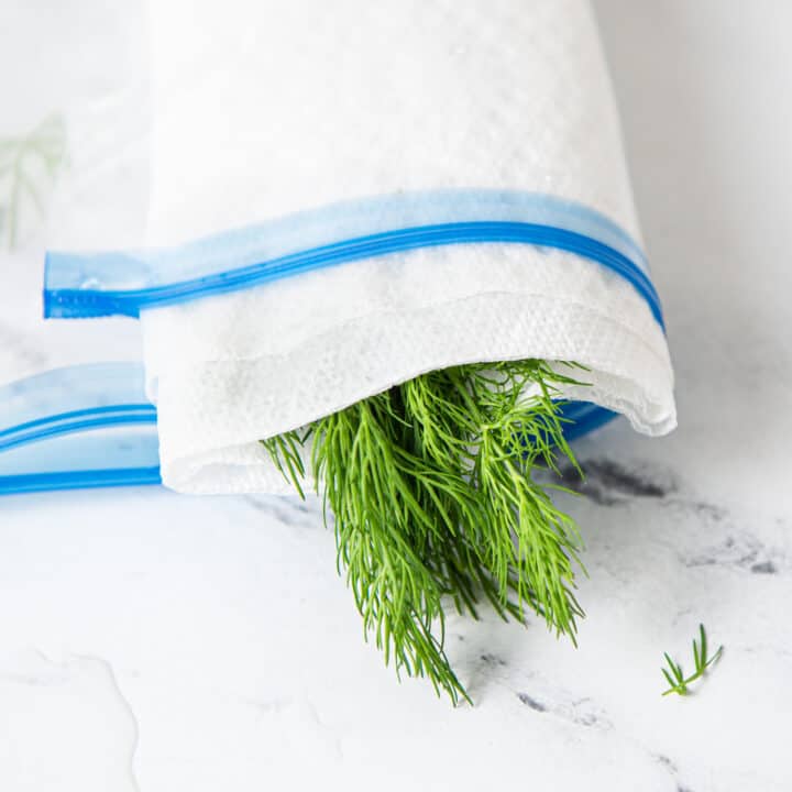 How To Store Dill Easy Ways To Keep It Fresh Chopnotch
