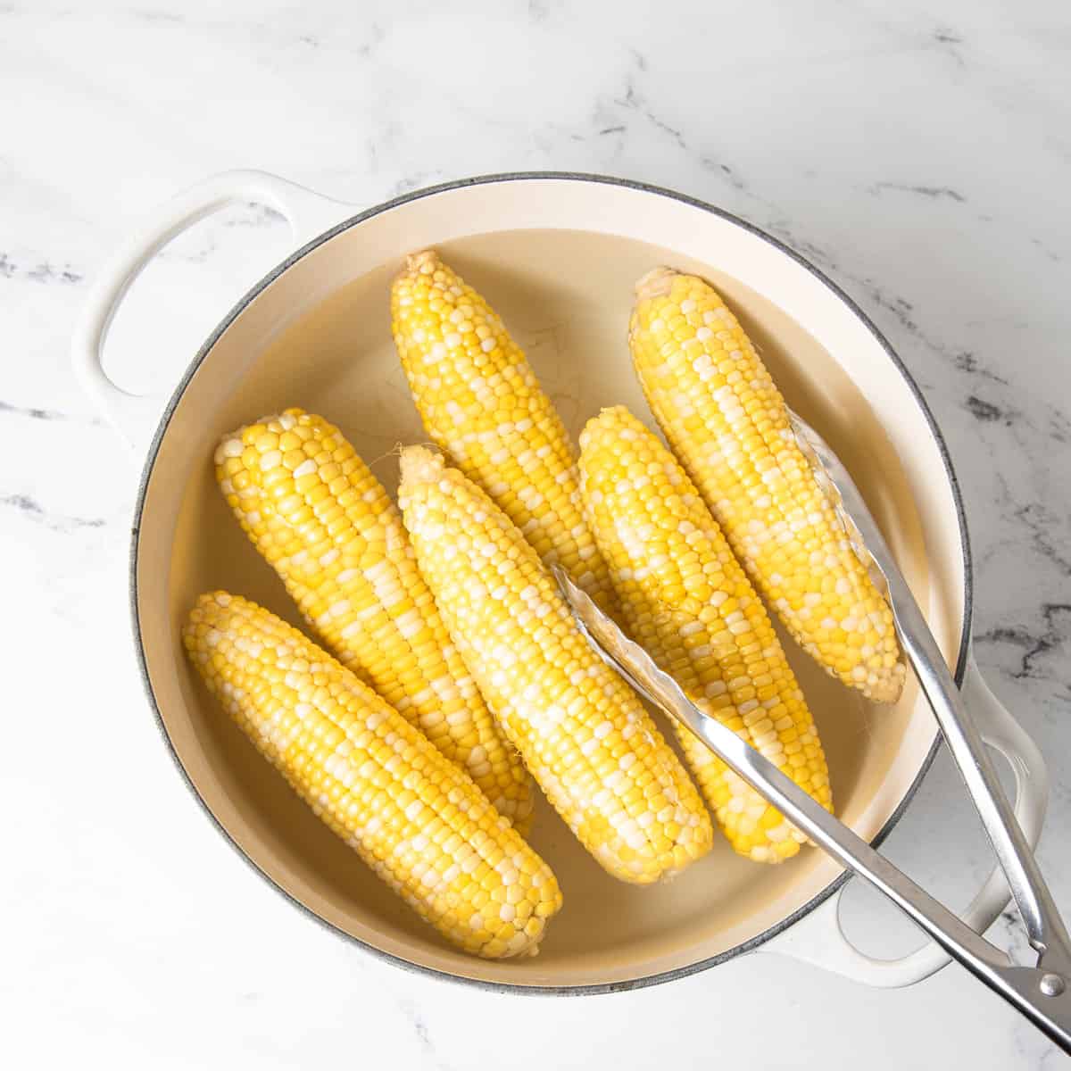 Fresh corn in a white pot with water and tongs.