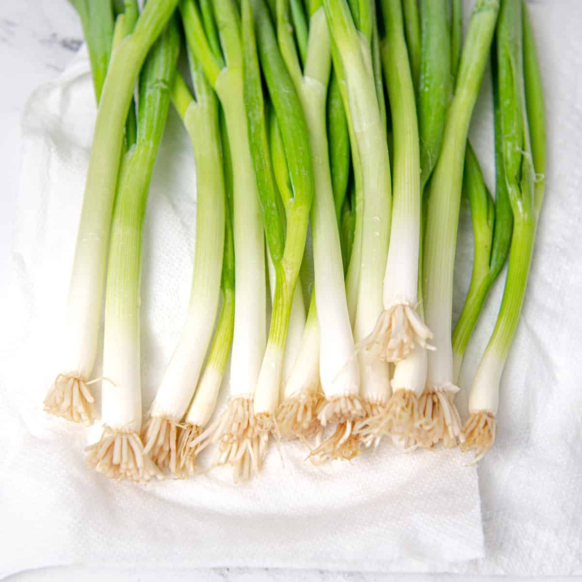 Top view of scallions on a white kitchen towel.