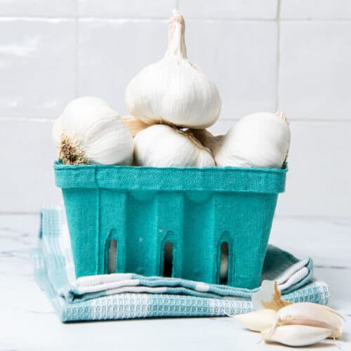 How To Store Garlic To Keep It Fresh For Long Chopnotch