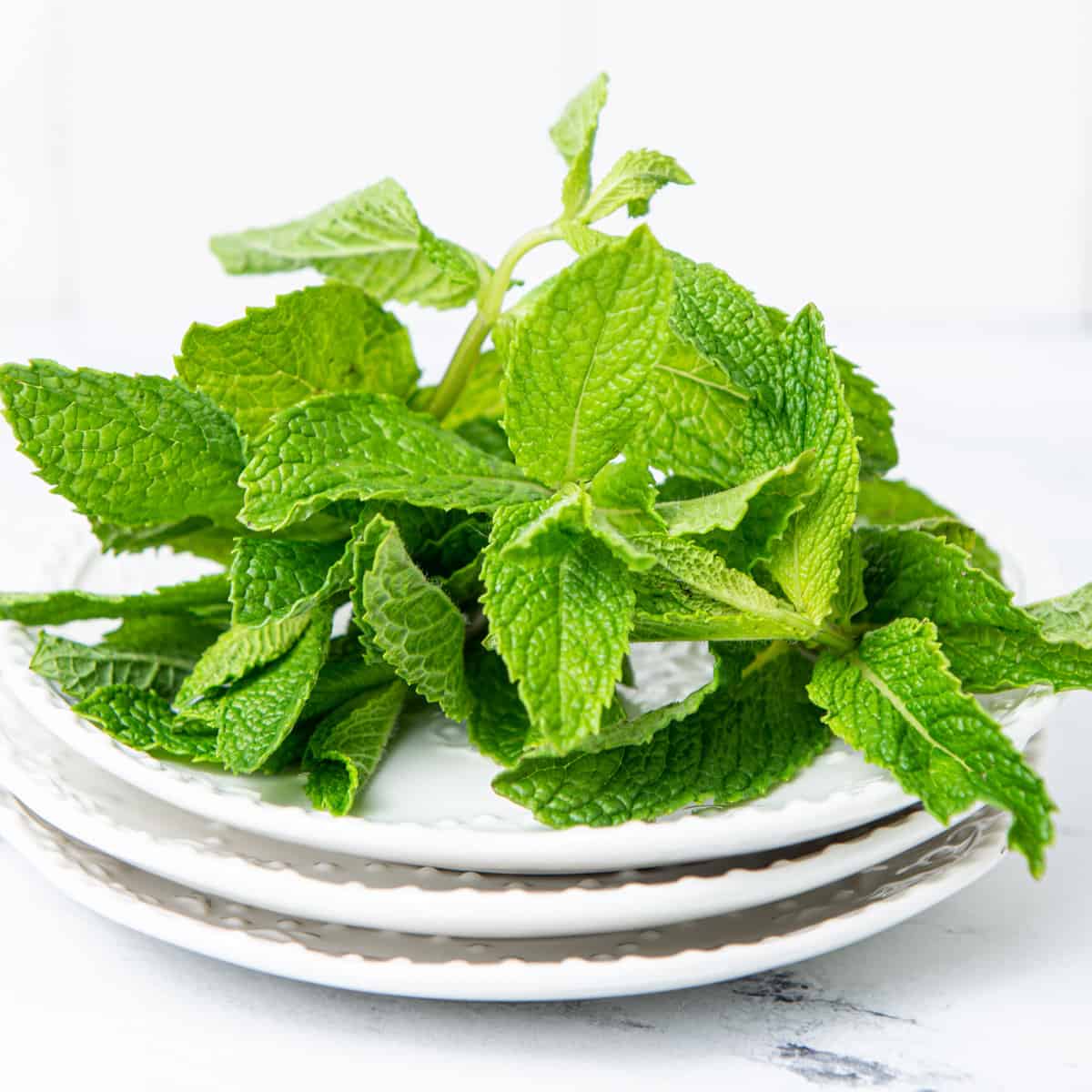 Mint leaves on white plates.