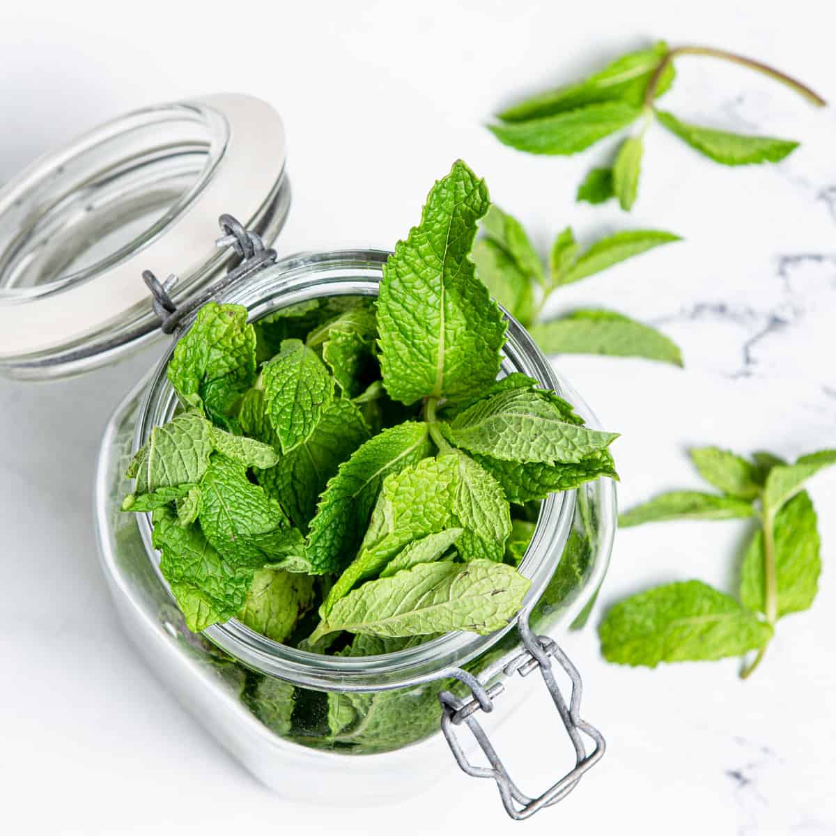 Mint in glass jar on a kitchen counter.