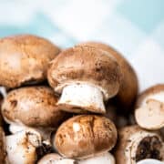 A closeup of mushrooms.
