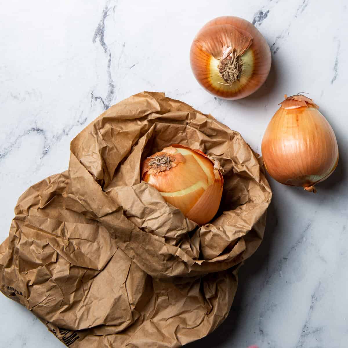 Onions in a brown paper bag with two onions on the counter.
