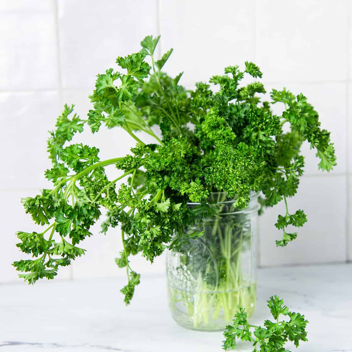 Parsley in water on a counter.