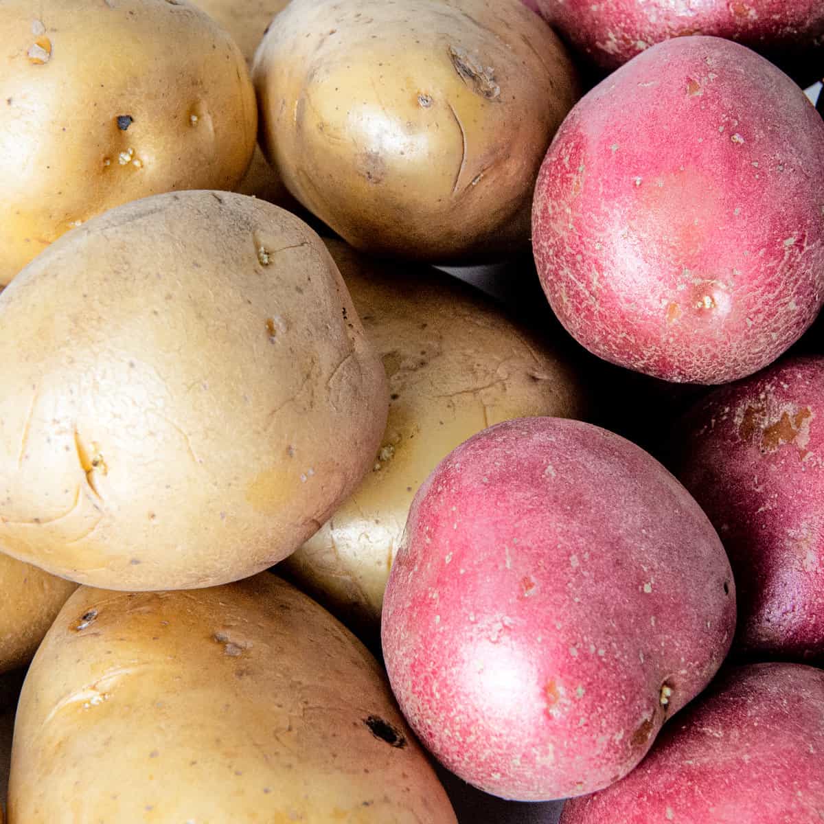 Close up view of potatoes.