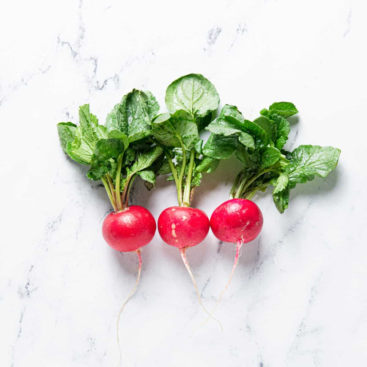 Three radishes on a kitchen counter.