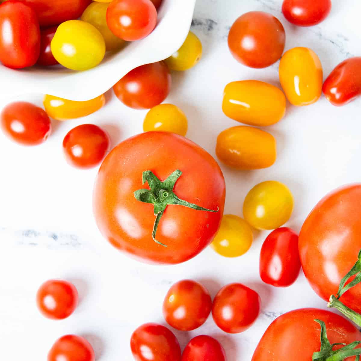Overhead shot of scattered tomatoes with a few in a white bowl.