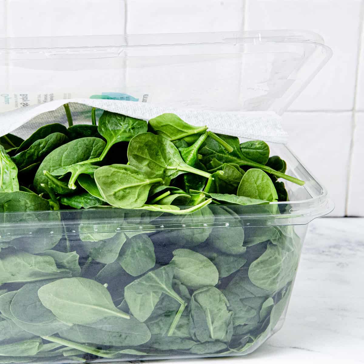 Spinach in a container with paper towel.